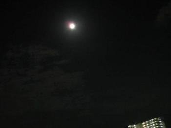 moon 0161.JPG